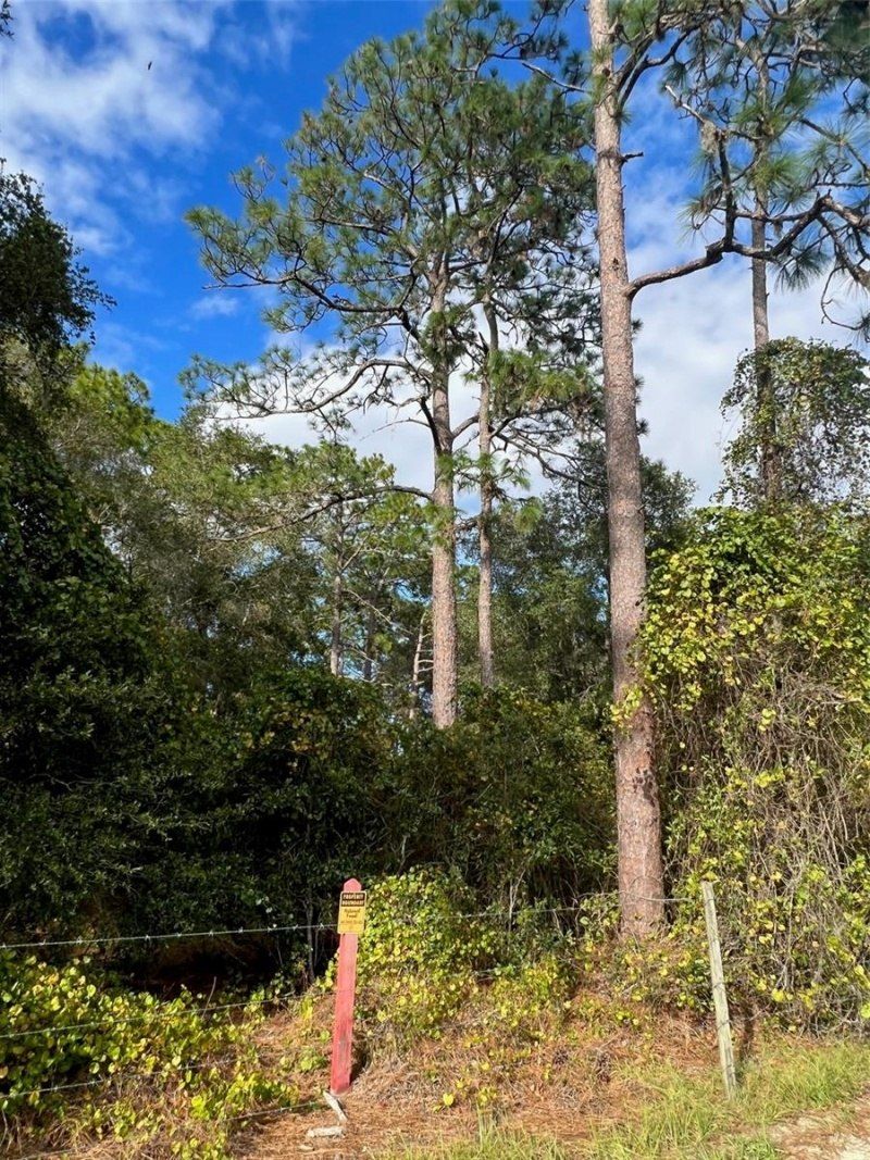 Se 74th Lane Road, Lot #8-WEST, Ocklawaha, FL 32179 Photo