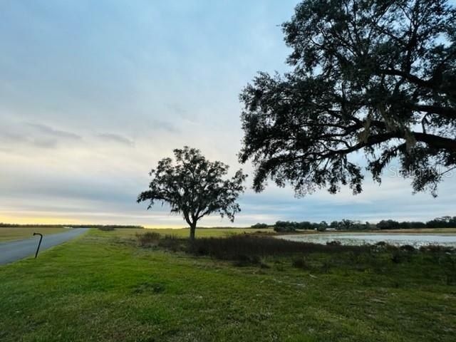 Se 74th Lane Road, Lot #8-WEST, Ocklawaha, FL 32179 Photo