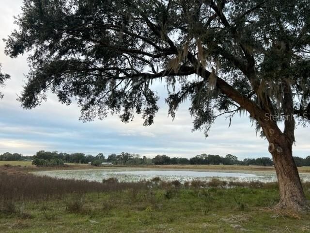Se 74th Lane Road, Lot #8-WEST, Ocklawaha, FL 32179 Photo
