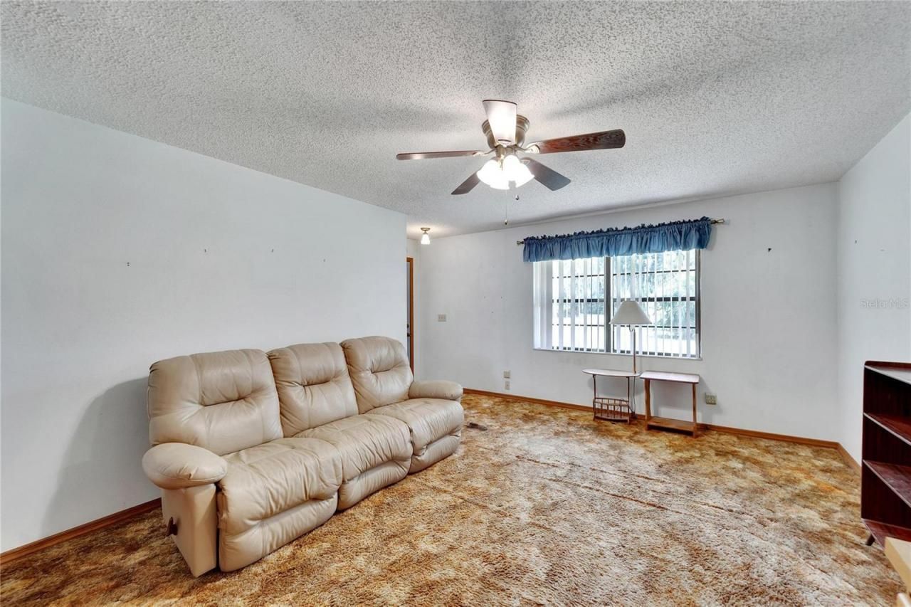 3003 N Wilder Road, Plant City, FL 33563 Photo