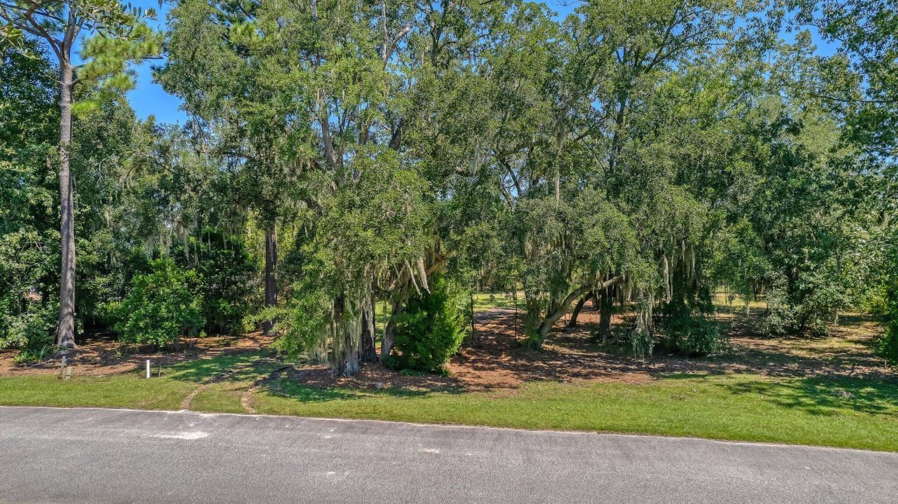 4227 Ten Shillings Way Photo 21