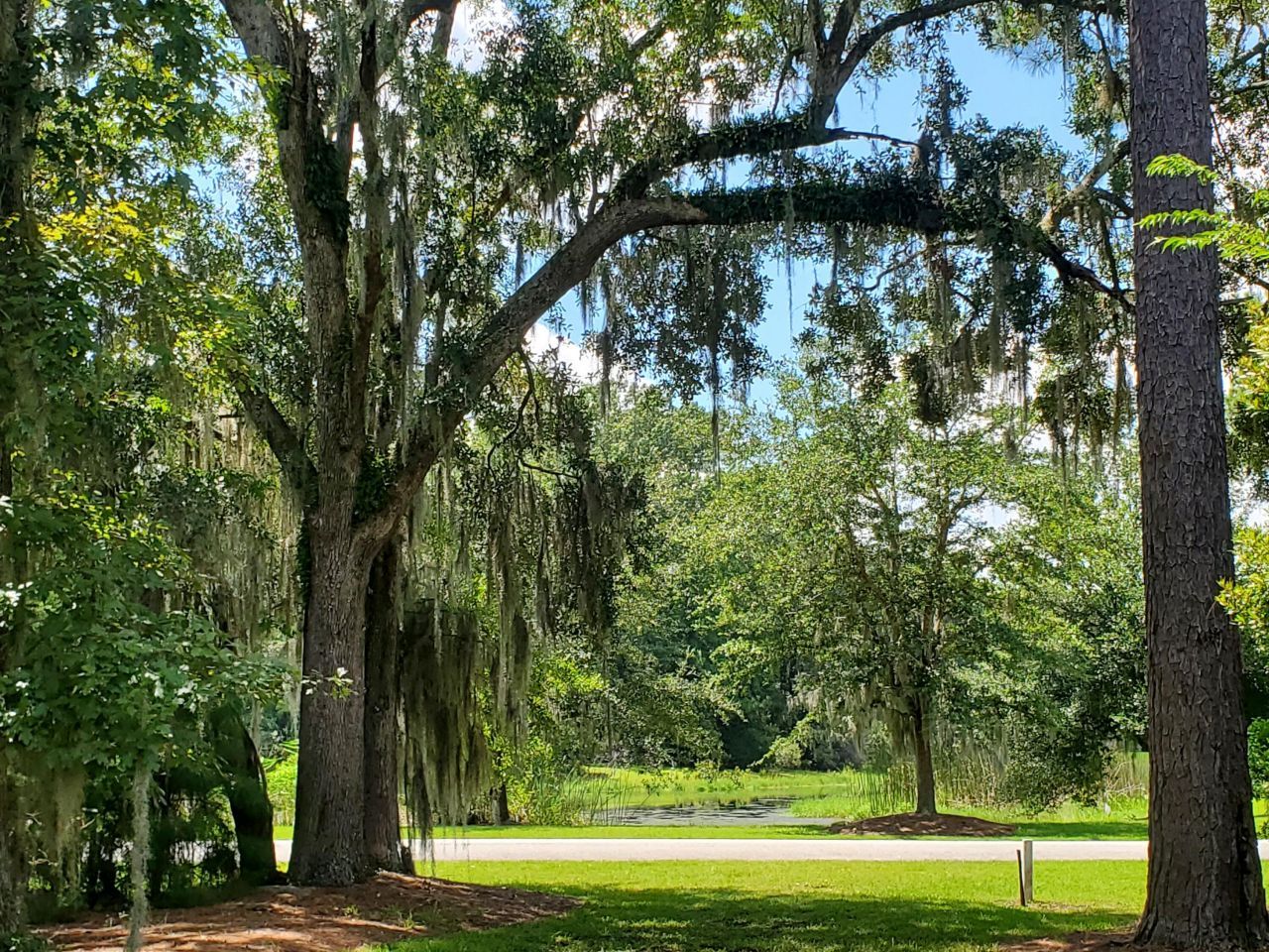 4227 Ten Shillings Way Photo 28