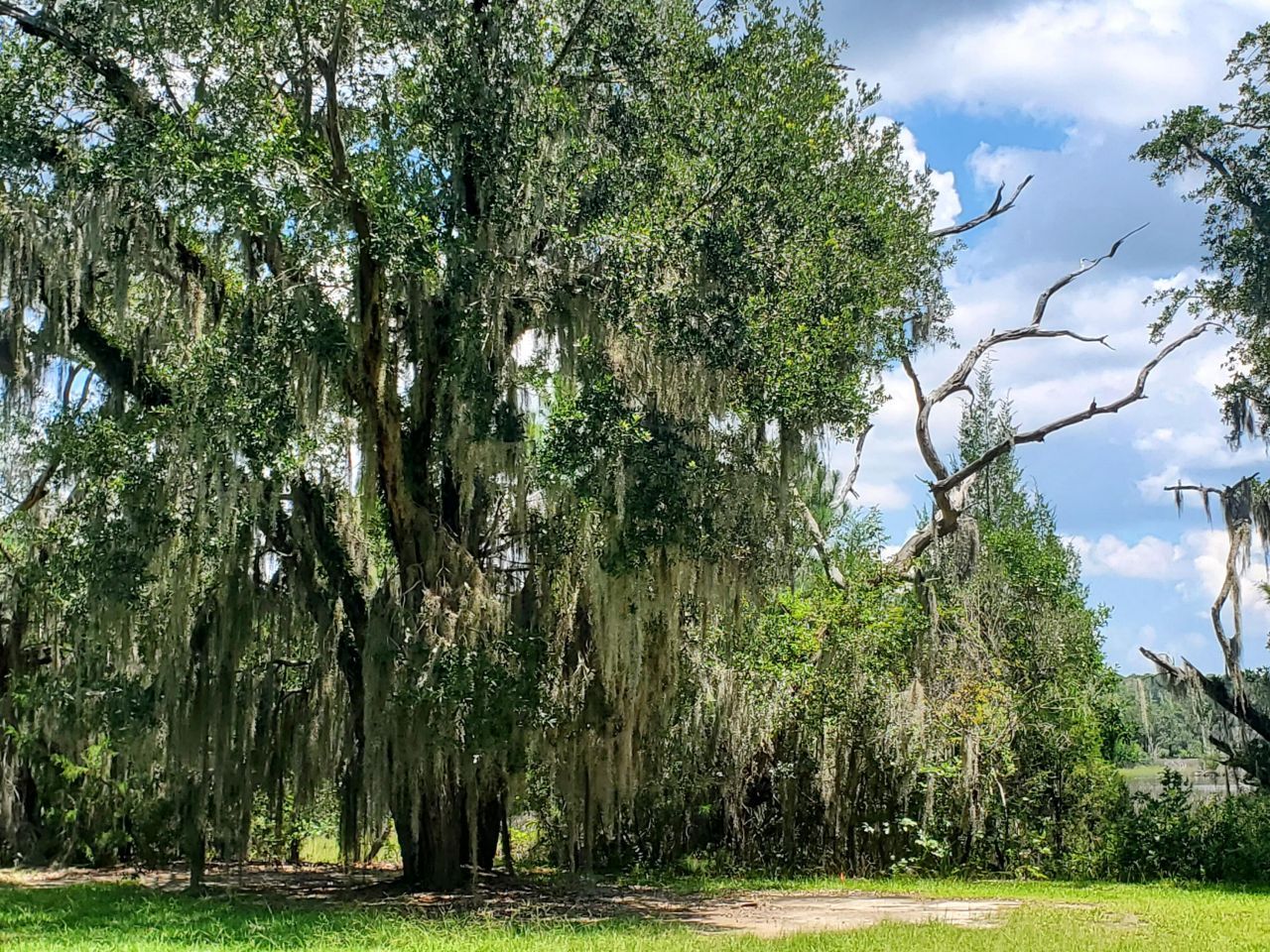 4227 Ten Shillings Way Photo 29