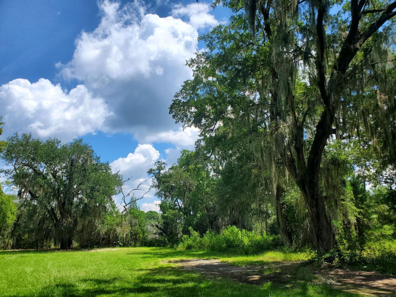 4227 Ten Shillings Way Photo 30