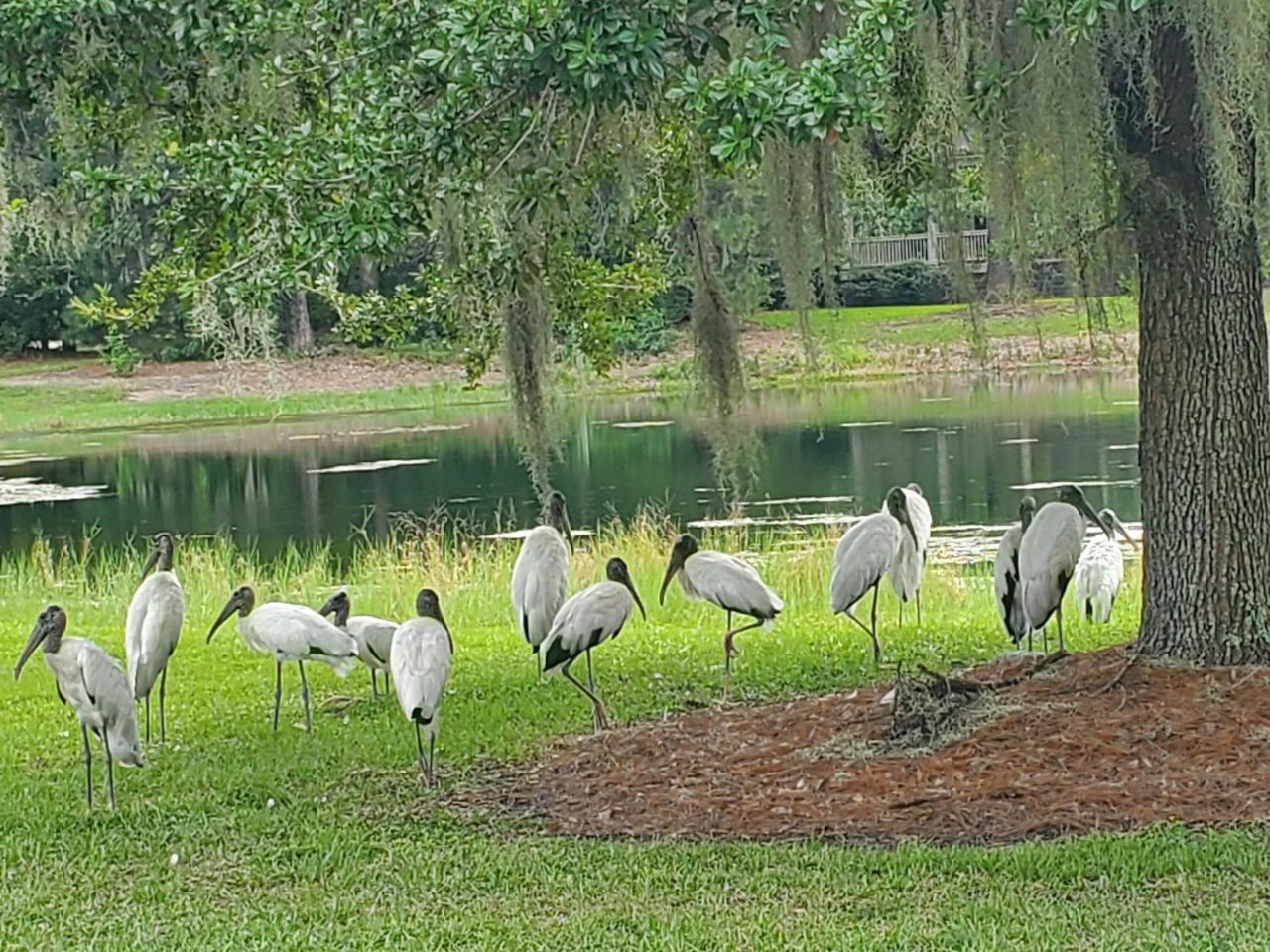 4227 Ten Shillings Way Photo 31