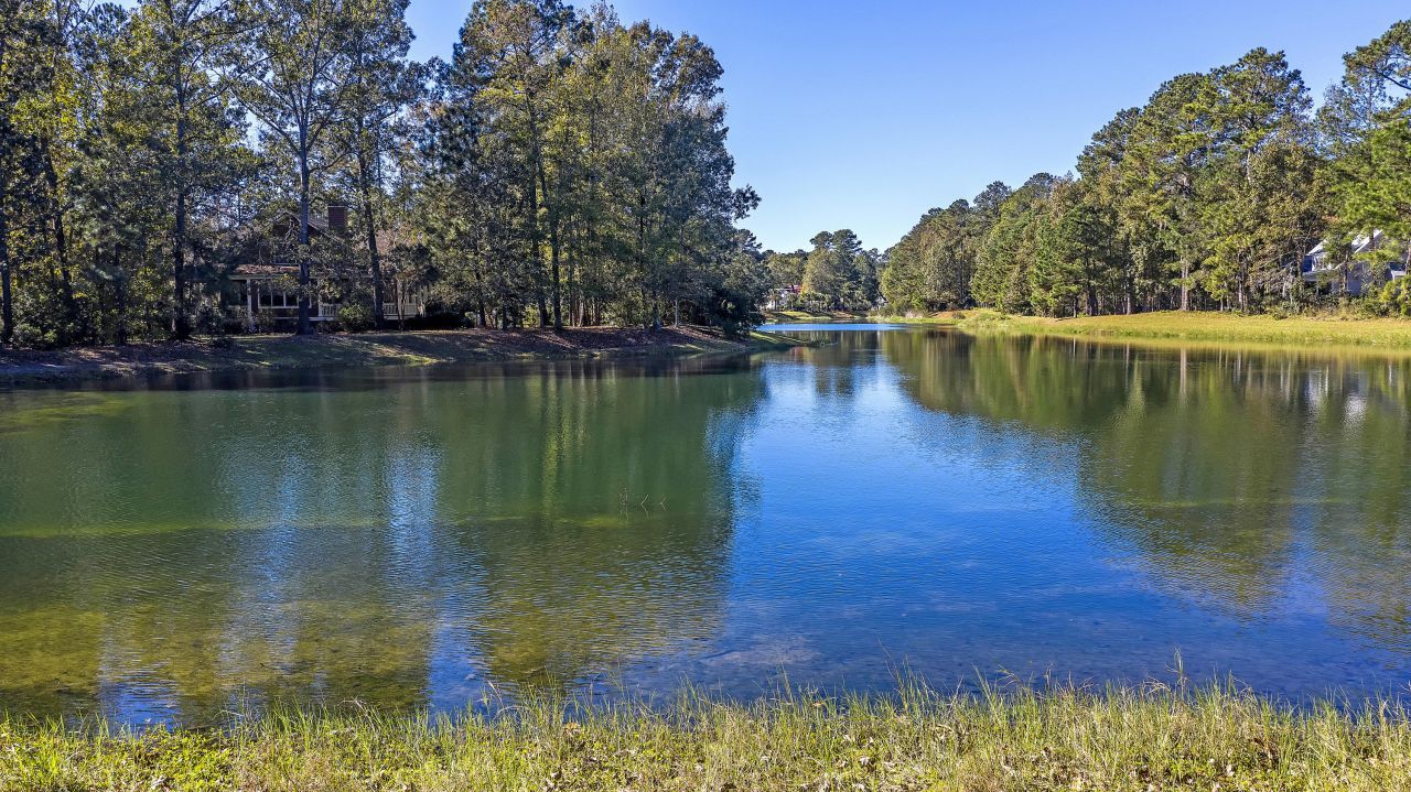 4227 Ten Shillings Way Photo 35