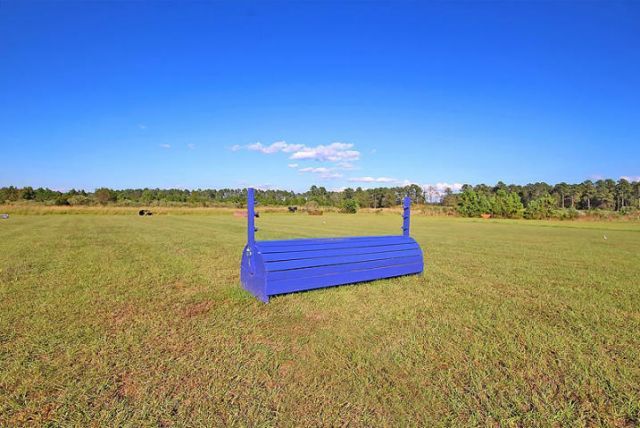 4227 Ten Shillings Way Photo 89