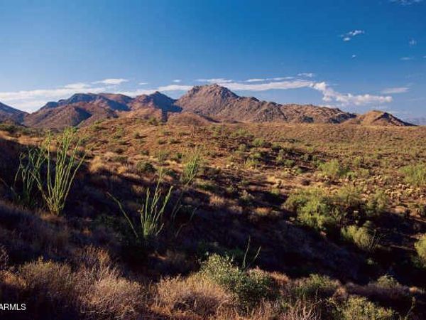 14433 E DESERT TORTOISE Trail, Unit 24, Fountain Hills, AZ 85268