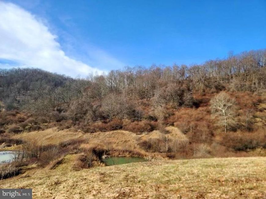 1931 St Leo Road, Wana, WV 26590 Main Photo
