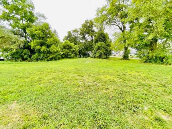 Lot 1 Ionia Street, Lake Odessa, MI 48849
