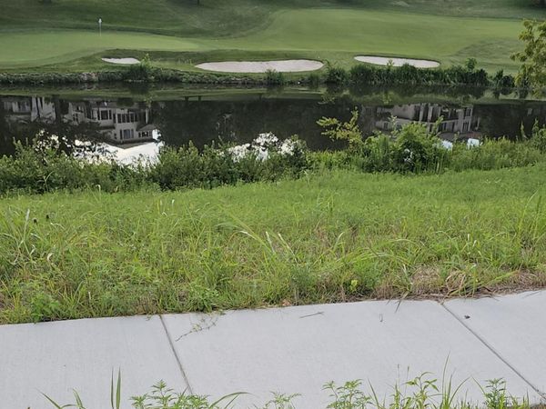 Lot 14 Vintage Pointe/Highland Spring, Springfield, MO 65809