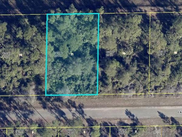 1113 Capri Street E, Lehigh Acres, FL 33974