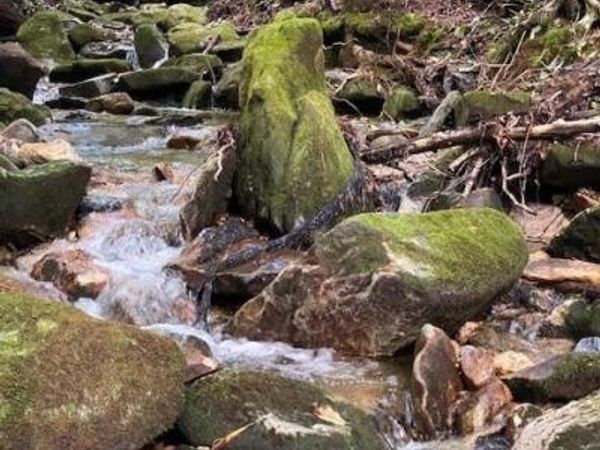 619 Speckled Feather Pass, Sapphire, NC 28774