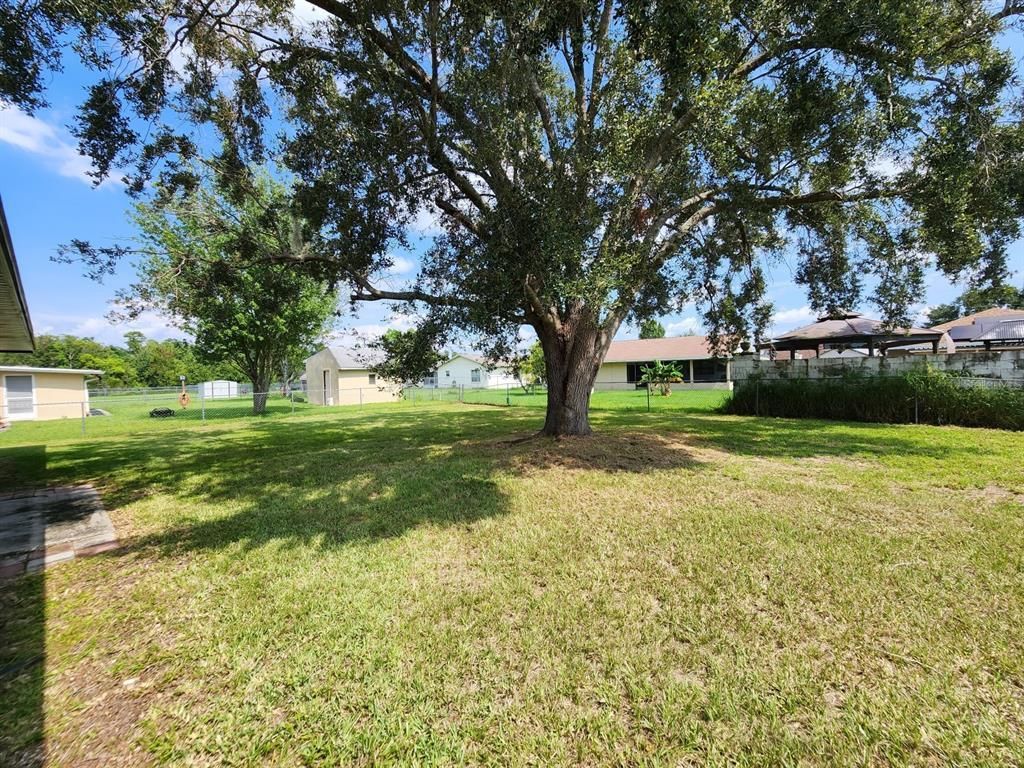 609 Estrada Lane, Kissimmee, FL 34758 Photo