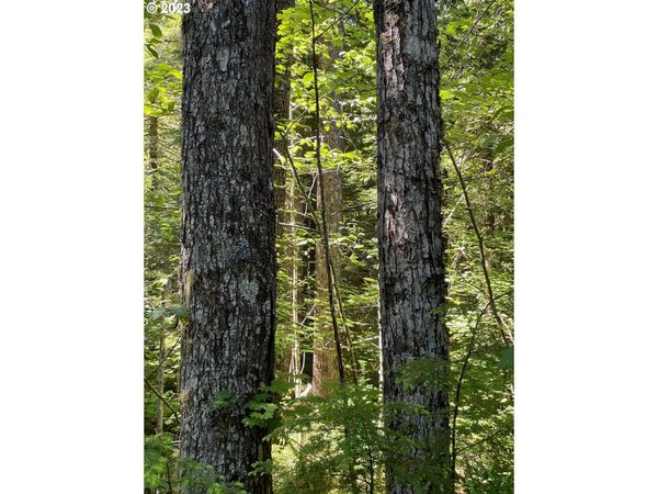 Forest Road 4610, Estacada, OR 97023