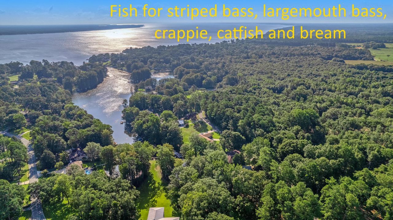 Lot 2 Broad River Drive Photo 5