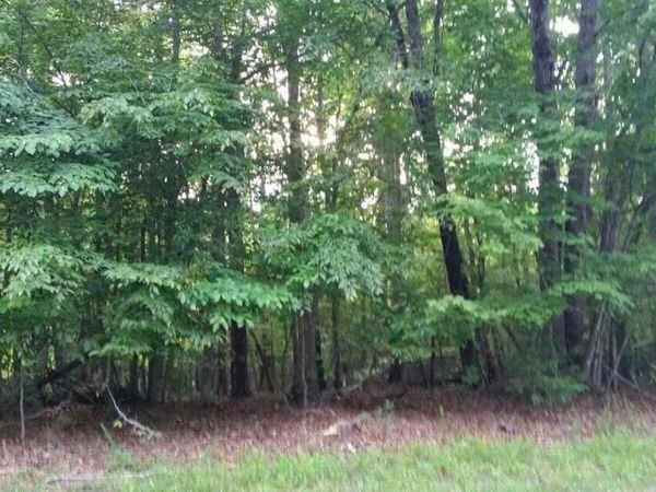 Lot 1 Mallard Point RD, Wirtz, VA 24184