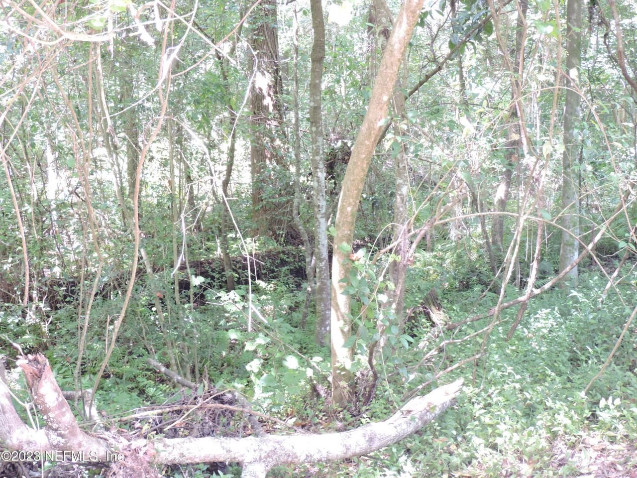 12520 Yellow Bluff Road, Jacksonville, FL 32226 Photo