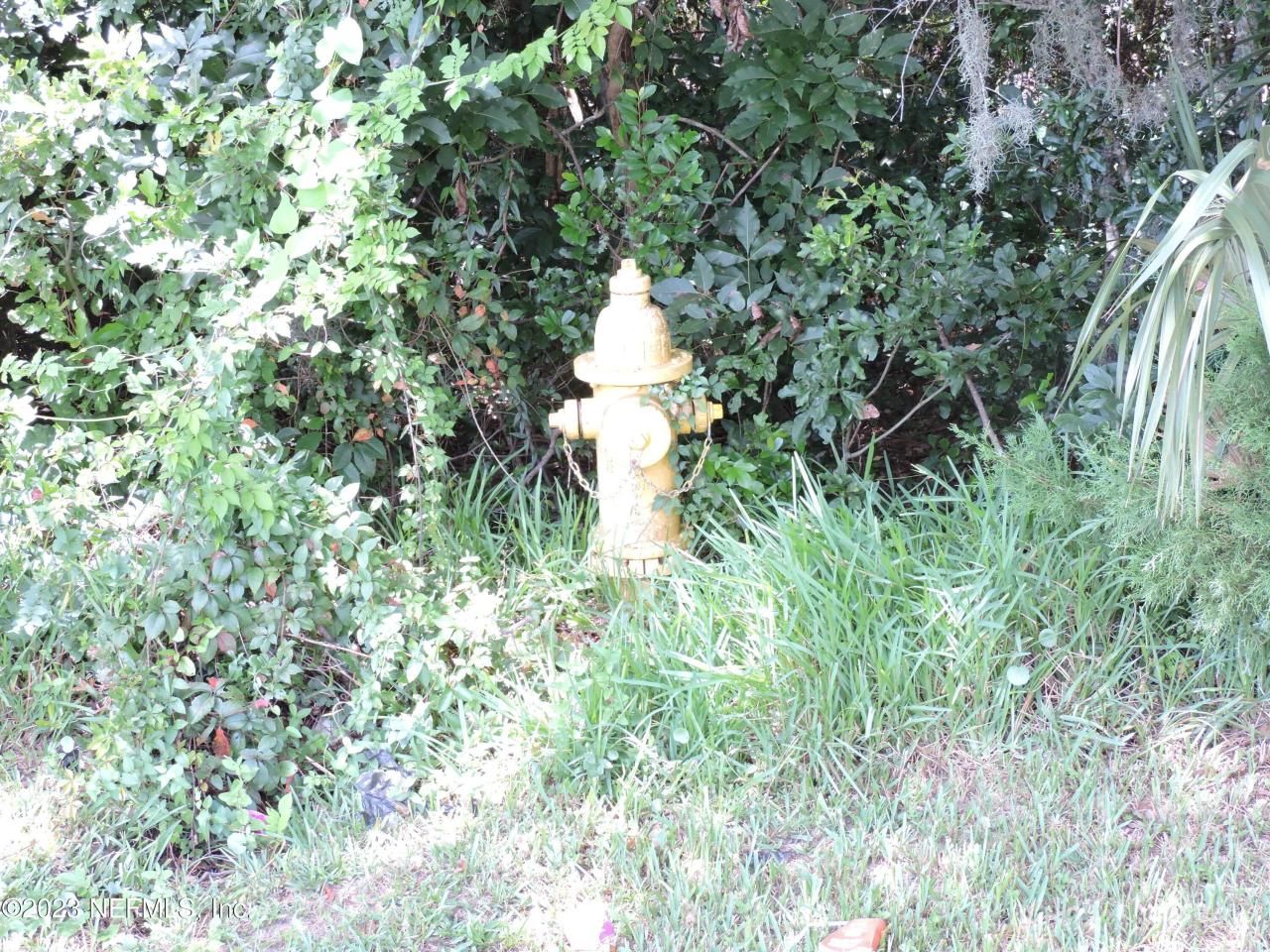 12520 Yellow Bluff Road, Jacksonville, FL 32226 Photo