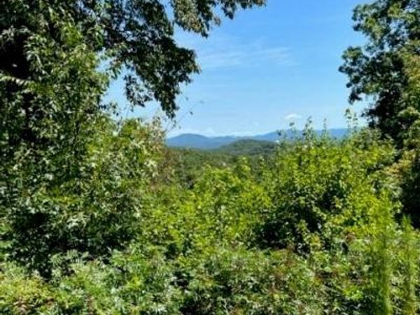 LT 15 Red Tail Lane, Blairsville, GA 30512