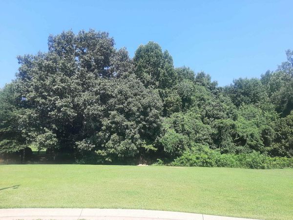 102 Westwood Cove, Dyersburg, TN 38024
