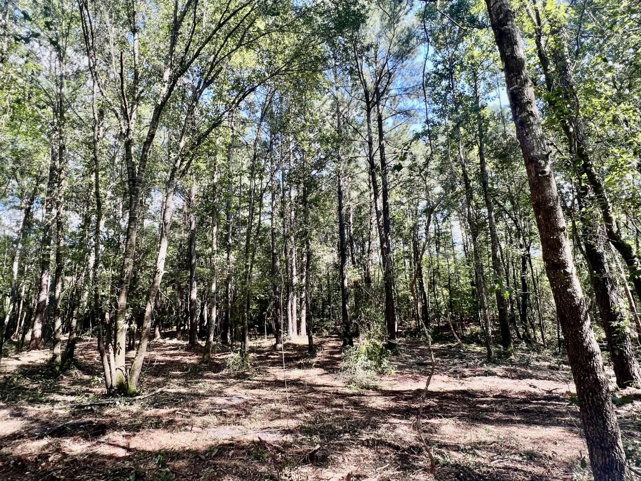 2 Evangelist Photo 15