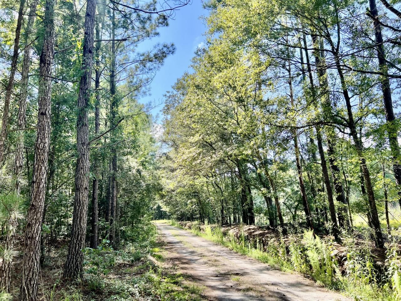 2 Evangelist Photo 17