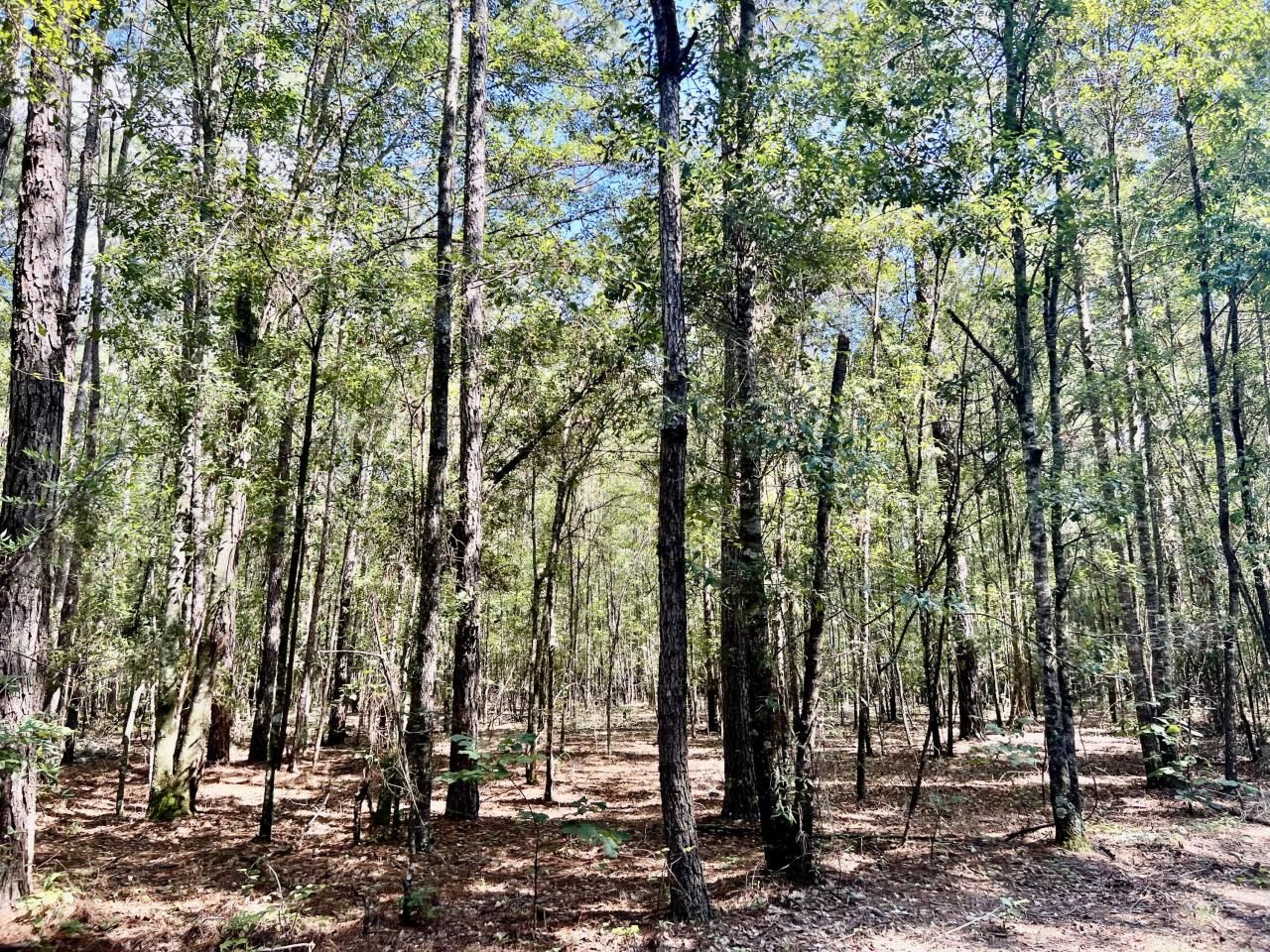 2 Evangelist Photo 18