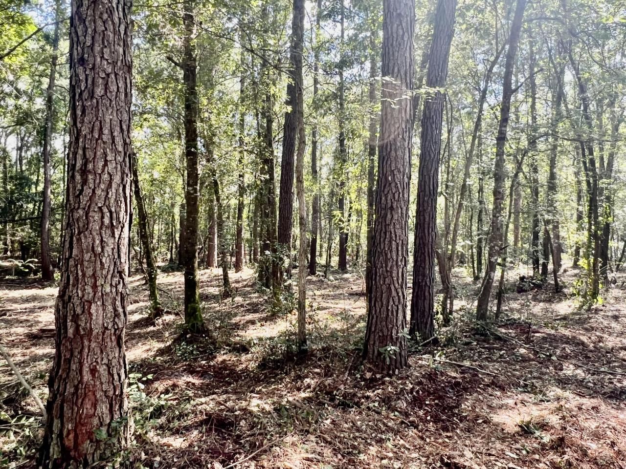 2 Evangelist Photo 19