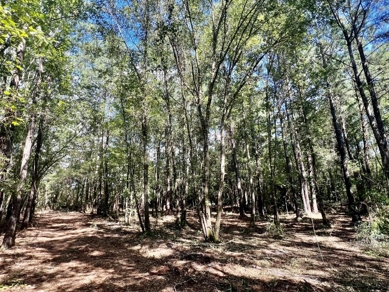 2 Evangelist Photo 20