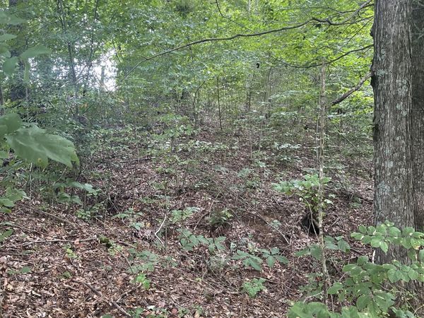 0 HWY 52 bypass west W, Lafayette, TN 37083