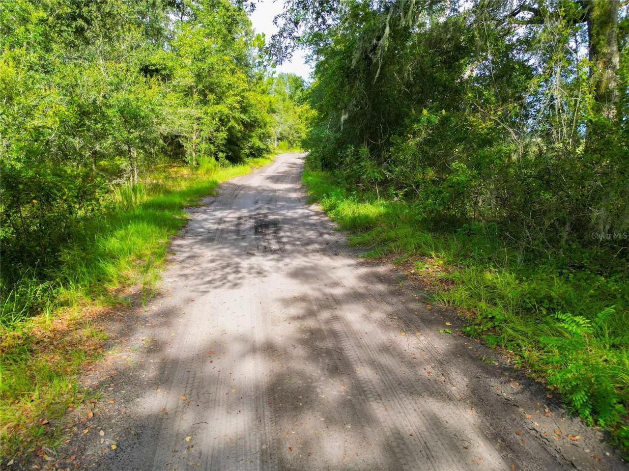 Se 29th Blvd, Sumterville, FL 33585 Photo