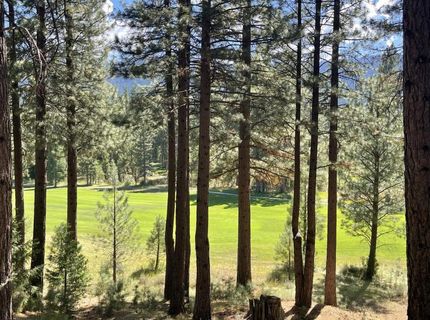 180 Saddle Ridge Road, Clio, CA 96106 Photo