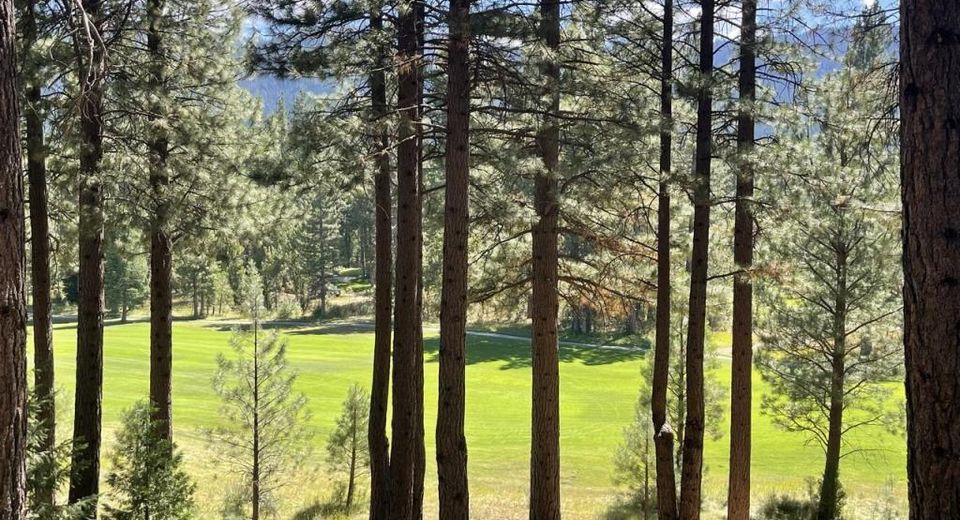 180 Saddle Ridge Road, Clio, CA 96106 Photo