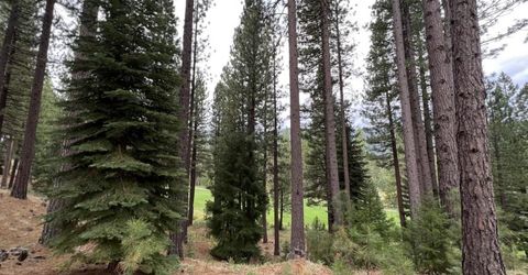 180 Saddle Ridge Road, Clio, CA 96106 Photo