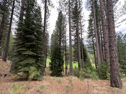 180 Saddle Ridge Road, Clio, CA 96106 Photo