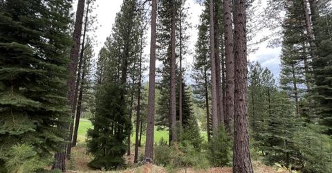 180 Saddle Ridge Road, Clio, CA 96106 Photo