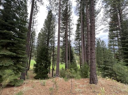 180 Saddle Ridge Road, Clio, CA 96106 Photo