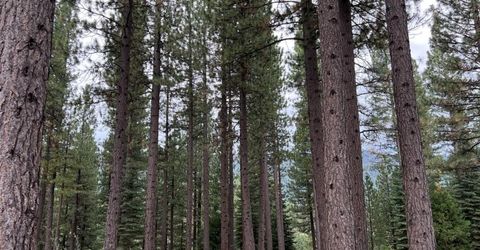 180 Saddle Ridge Road, Clio, CA 96106 Photo