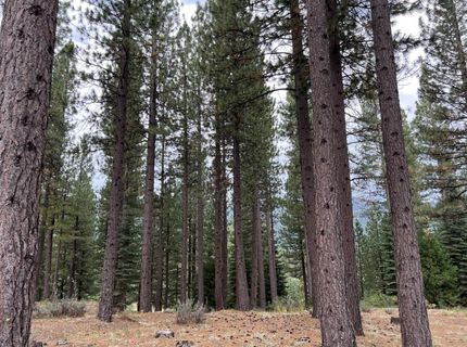 180 Saddle Ridge Road, Clio, CA 96106 Photo