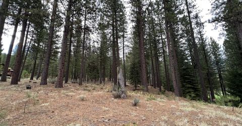 180 Saddle Ridge Road, Clio, CA 96106 Photo