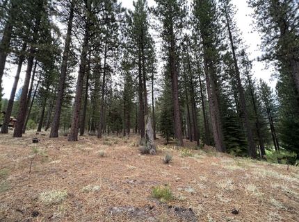 180 Saddle Ridge Road, Clio, CA 96106 Photo