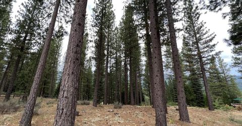 180 Saddle Ridge Road, Clio, CA 96106 Photo