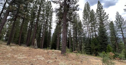 180 Saddle Ridge Road, Clio, CA 96106 Photo