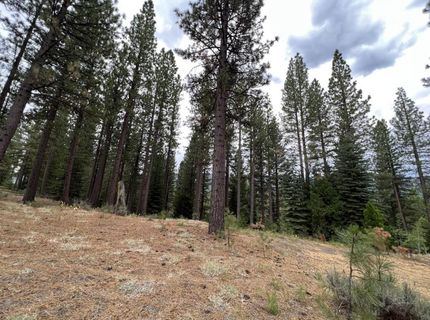 180 Saddle Ridge Road, Clio, CA 96106 Photo