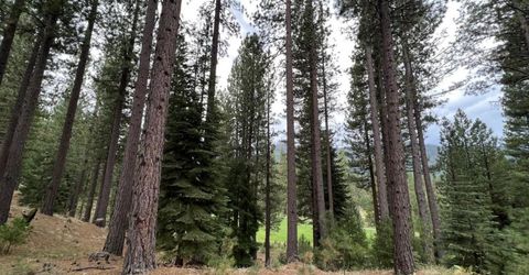 180 Saddle Ridge Road, Clio, CA 96106 Photo