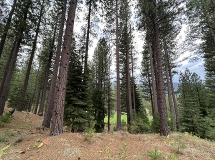 180 Saddle Ridge Road, Clio, CA 96106 Photo