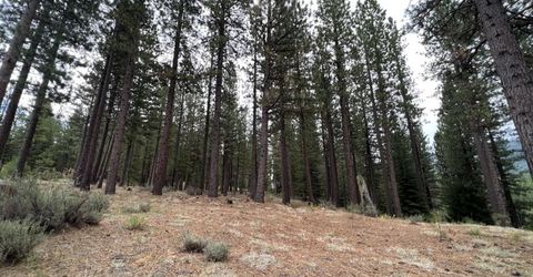 180 Saddle Ridge Road, Clio, CA 96106 Photo