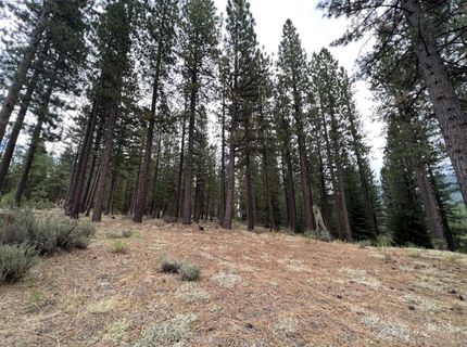 180 Saddle Ridge Road, Clio, CA 96106 Photo