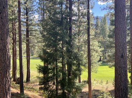 180 Saddle Ridge Road, Clio, CA 96106 Photo